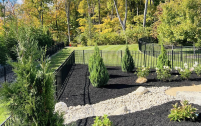How Should I Prepare My Lawn for Winter in Tennessee?