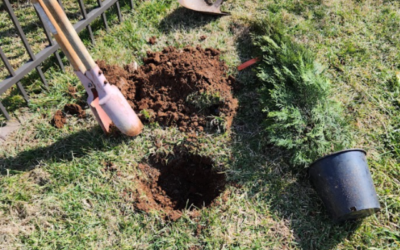 5 Curb Appeal Boosts to Wrap Up Summer Strong